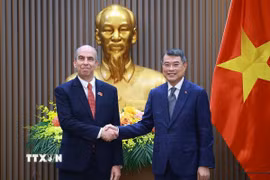 Thủ tướng Lê Minh Hưng tiếp Đại sứ Cuba Rogelio Polanco Fuentes. (Ảnh: Dương Giang/TTXVN)