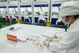 Mẫu sinh phẩm hài cốt liệt sỹ được đóng gói nghiêm ngặt, theo trình tự quy chuẩn quốc gia. (Ảnh: An Đăng/TTXVN)