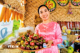 Sản phẩm trái cây của nông dân xã Tiên Phước, thành phố Đà Nẵng. (Ảnh: Trần Tĩnh/TTXVN)
