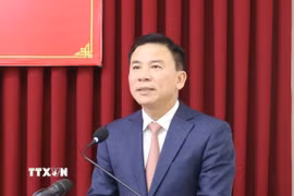 Ông Đỗ Trọng Hưng. (Ảnh: TTXVN)