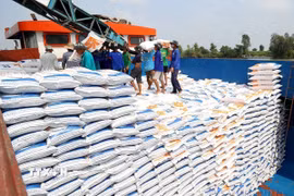 Trên thị trường xuất khẩu, giá gạo 5% tấm của Việt Nam tiếp tục đi ngang ở mức từ 430-450 USD/tấn trong bối cảnh nhu cầu thấp. (Ảnh: Hồng Đạt/TTXVN)