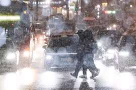 Khu vực đô thị Seoul, tỉnh Gangwon và tỉnh Nam Chungcheong có lượng tuyết rơi lên tới 5cm. (Nguồn: The Korea Times)