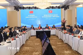 Quang cảnh Hội nghị. (Ảnh: Quang Duy/TTXVN)