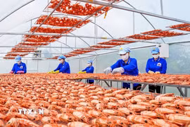 Các sản phẩm từ tôm Cà Mau góp phần vào mục tiêu tăng trưởng hai con số mà Cà Mau đang quyết tâm hướng đến. (Ảnh: Huỳnh Anh/TTXVN)