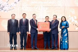 Đại biểu dự chương trình. (Ảnh: Doãn Tấn/TTXVN)
