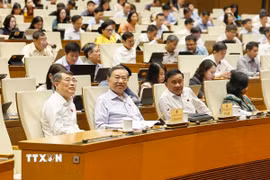 Tổng Bí thư, Chủ tịch nước Tô Lâm và các đồng chí lãnh đạo Đảng, Nhà nước, đại biểu Quốc hội dự phiên họp. (Ảnh: Doãn Tấn/TTXVN)