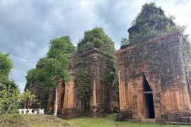 Tháp Khương Mỹ có niên đại vào khoảng đầu thế kỷ thứ 10, được coi là nhóm tháp Chăm còn tồn tại khá nguyên vẹn đến ngày nay. (Ảnh: Đỗ Trưởng/TTXVN)
