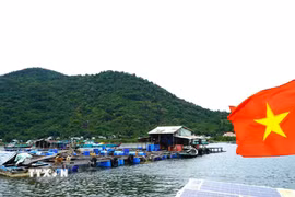 Mô hình nuôi cá lồng trên biển tại đặc khu Kiên Hải, An Giang. (Ảnh: Văn Sĩ/TTXVN)