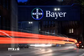 Biểu tượng hãng dược Bayer tại nhà máy ở Wuppertal, miền Tây nước Đức. (Ảnh: AFP/TTXVN)