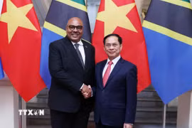 Phó Thủ tướng, Bộ trưởng Ngoại giao Bùi Thanh Sơn đón Bộ trưởng Ngoại giao và Hợp tác Đông Phi nước Cộng hòa Thống nhất Tanzania Mahmoud Thabit Combo. (Ảnh: An Đăng/TTXVN)