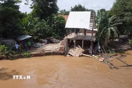 Khu vực sạt lở bờ sông Tiền tại ấp Tân Quới, xã Tân Long (tỉnh Đồng Tháp). (Ảnh: Nhựt An/TTXVN)