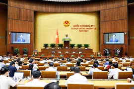 Quang cảnh phiên họp (Ảnh: Doãn Tấn/TTXVN)