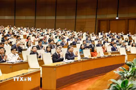 Tổng Bí thư, Chủ tịch nước Tô Lâm cùng các đồng chí lãnh đạo Đảng, Nhà nước dự phiên bế mạc kỳ họp. (Ảnh: Doãn Tấn/TTXVN)