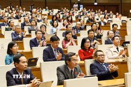 Đại biểu tại Kỳ họp không thường lệ thứ nhất. (Ảnh: Doãn Tấn/TTXVN)