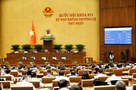 Quốc hội biểu quyết thông qua Luật sửa đổi, bổ sung một số điều của 10 luật có liên quan đến thủ tục hành chính, điều kiện kinh doanh trong lĩnh vực nông nghiệp và môi trường. (Ảnh: Doãn Tấn/TTXVN)