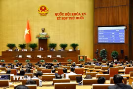 Quốc hội biểu quyết thông qua Luật Tòa án chuyên biệt tại Trung tâm tài chính quốc tế. (Ảnh: Doãn Tấn/TTXVN)