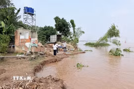 Sạt lở bờ sông Hậu kéo dài hàng chục mét, làm mất đất ven bờ và đe dọa khu dân cư. (Ảnh: Thanh Sang/TTXVN)