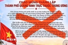 Quảng Ninh lên tiếng về thông tin toàn tỉnh đồng loạt treo cờ Tổ quốc ngày 23/8