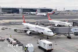 Các máy bay của hãng hàng không Turkish Airlines tại Sân bay Istanbul (Thổ Nhĩ Kỳ). (Ảnh: Ngọc Duy/TTXVN)
