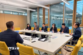 Đoàn công tác của Bộ Công an thảo luận với các đại diện của Ủy ban Tư vấn của của WIPO. (Ảnh: Phạm Ngọc Ánh/TTXVN)