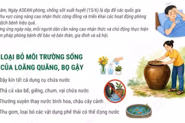 Ngày ASEAN phòng, chống sốt xuất huyết: 3 việc cần làm để phòng bệnh hiệu quả