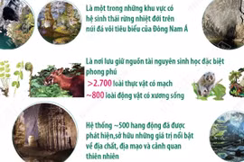 Phong Nha-Kẻ Bàng được vinh danh Khu Dự trữ sinh quyển thế giới