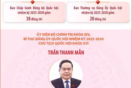Đảng ủy Quốc hội nhiệm kỳ 2025-2030