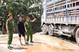 Lực lượng chức năng bắt giữ xe tải biển kiểm soát 37H-024.39, chở 180 con lợn nhiễm dịch tả lợn châu Phi. (Ảnh: TTXVN phát)