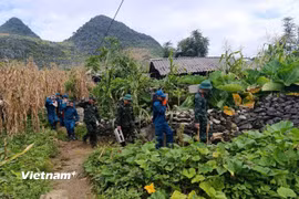 Lực lượng ở cơ sở hỗ trợ người dân vận chuyển vật liệu xây dựng nhà ở. (Ảnh Minh Tâm/Vietnam+)