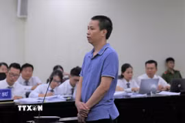 Bị cáo Phạm Vũ Khiêm, Giám đốc, Người đại diện pháp luật Công ty Herbitech, khai báo tại Tòa. (Ảnh: Kim Anh/TTXVN)
