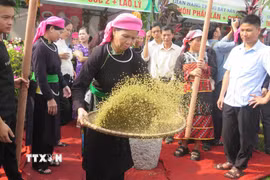 Phụ nữ Tày xã Hợp Thành sàng cốm - công đoạn không thể thiếu trong quá trình làm cốm. (Ảnh: Hương Thu/TTXVN)