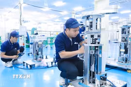 (Ảnh: Thành Phương/TTXVN)