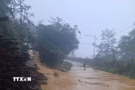 Mưa lớn kéo theo đất đá từ trên cao đổ xuống mặt đường gây ảnh hưởng đến việc đi lại của người dân tại tuyến đường Sâu Chua, thuộc tổ dân phố Sâu Chua, phường Sa Pa, Lào Cai. (Ảnh: TTXVN phát)