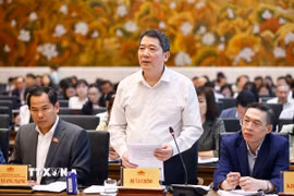 Thứ trưởng Bộ Tài chính Cao Anh Tuấn phát biểu. (Ảnh: Doãn Tấn/TTXVN)