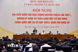 Phó Chủ tịch Quốc hội Nguyễn Đức Hải phát biểu. (Ảnh: Doãn Tấn/TTXVN)