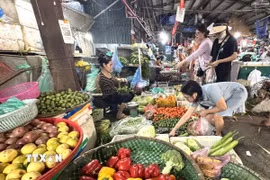 Mặt hàng rau củ quả được người tiêu dùng lựa chọn trong những ngày nắng nóng. (Ảnh: Quốc Lũy/TTXVN)