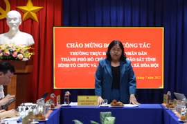 Phó Chủ tịch HĐND Thành phố Hồ Chí Minh Nguyễn Trường Nhật Phượng phát biểu tại buổi làm việc. (Ảnh: Hoàng Nhị/TTXVN)