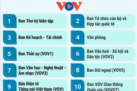 Cơ cấu tổ chức của Đài Tiếng nói Việt Nam