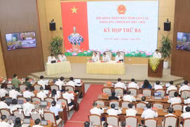 Quang cảnh kỳ họp. (Ảnh: Đinh Thùy/TTXVN)