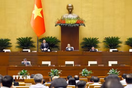Phó Chủ tịch Quốc hội Nguyễn Hồng Diên phát biểu. (Ảnh: Doãn Tấn/TTXVN)
