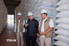 Kho gạo của Cơ quan Hậu cần Quốc gia Indonesia (Bulog) tại tỉnh Đông Java. (Ảnh: Đỗ Quyên/TTXVN)