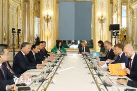 Tổng Bí thư, Chủ tịch nước Tô Lâm và Tổng thống Pháp Emmanuel Macron hội đàm. (Ảnh: Thống Nhất/TTXVN)