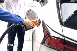 Hoạt động kinh doanh tại một cửa hàng xăng dầu trên địa bàn Hà Nội. (Ảnh: Quốc Lũy/TTXVN)