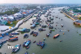 Chợ nổi Cái Răng (Cần Thơ) nhìn từ trên cao. (Ảnh: Thanh Liêm/TTXVN)