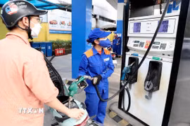 Mua bán xăng dầu tại một điểm kinh doanh của Petrolimex. (Ảnh: Trần Việt/TTXVN)
