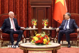 Tổng Bí thư, Chủ tịch nước Tô Lâm tiếp Chủ tịch FIFA Gianni Infantino. (Ảnh: Thống Nhất/TTXVN)