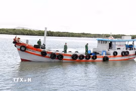 Lực lượng Biên phòng tiến hành kiểm tra tàu BV-0420-H. (Ảnh: TTXVN phát)
