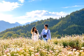 Du khách trải nghiệm mùa tam giác mạch trên Cao nguyên đá Đồng Văn. (Ảnh: Minh Tâm/TTXVN)