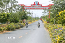 Đường giao thông về xã nông thôn mới kiểu mẫu Hòa Tú 1, huyện Mỹ Xuyên, Sóc Trăng cũ. (Ảnh: Tuấn Phi/TTXVN)