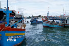 Tàu cá ra vào cảng cá Quy Nhơn. (Ảnh: Đình Quân/TTXVN)
